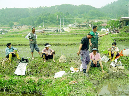 잠시 휴식 중 마시는 막걸리 농주. 